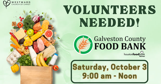 Volunteer at the Galveston County Food Bank