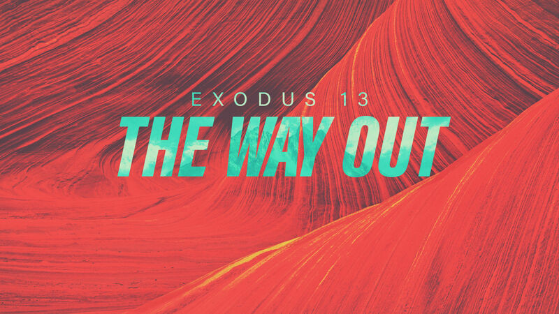 The Way Out 
