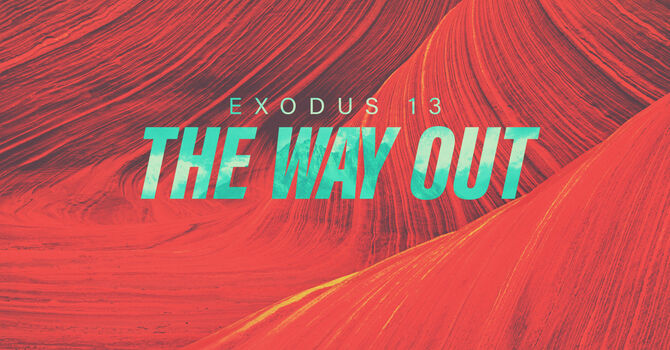 The Way Out 