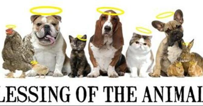 Blessing of the Animals