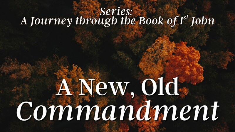 A New, Old Commandment