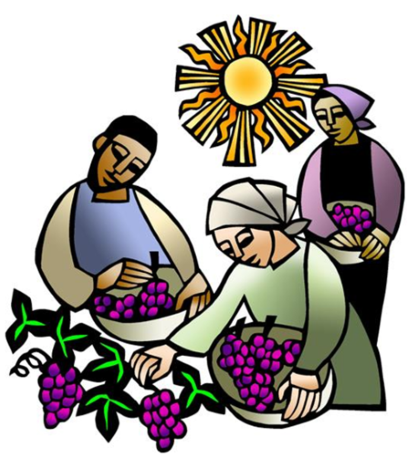 Sunday, September 20, 2026 - 17th Sunday after Pentecost