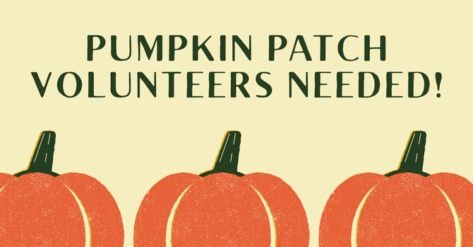 Pumpkin Patch Volunteers Needed! image