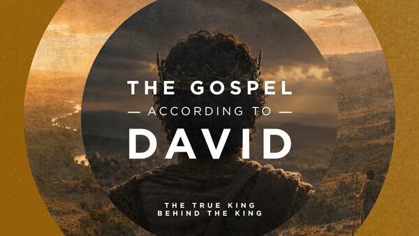 The Gospel According to David