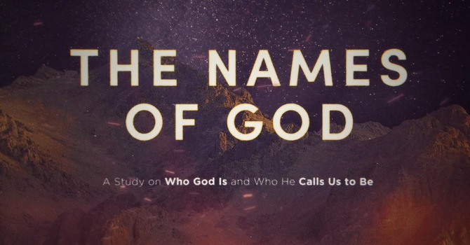 Women's Bible Study