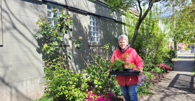 A Garden Tour with Bev Tracey