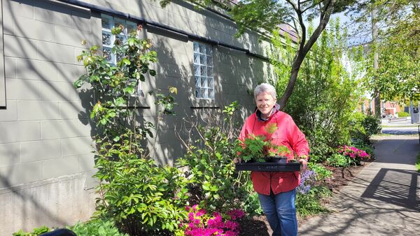 A Garden Tour with Bev Tracey