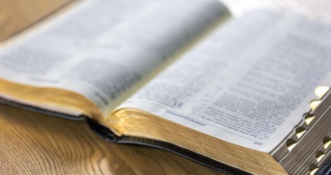 Bible Distribution