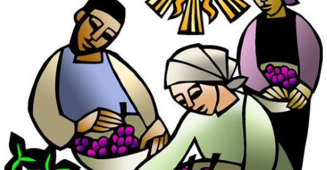 Sunday, September 20, 2026 - 17th Sunday after Pentecost