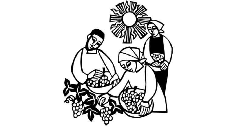 Seventeenth Sunday after Pentecost - 2026