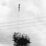 nav image