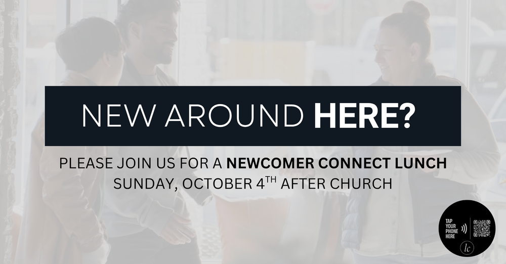 Newcomer Connect Lunch 