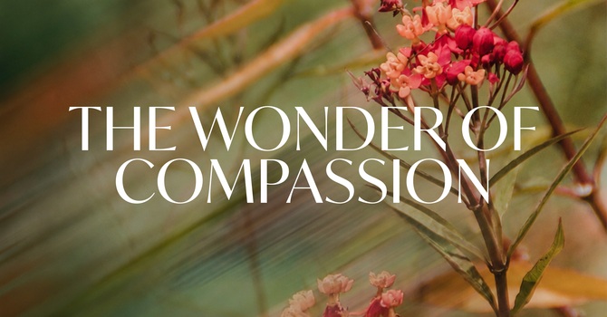 The Wonder of Compassion