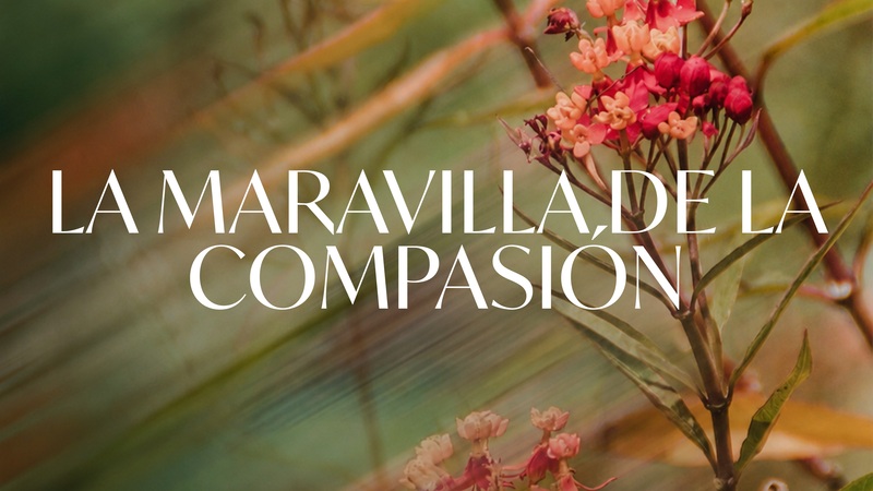 La Maravilla de la Compasion