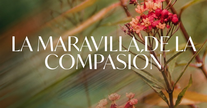 La Maravilla de la Compasion