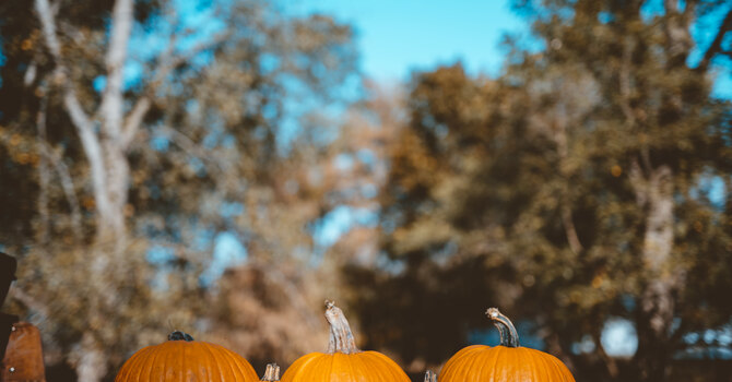 THE HARVEST – EVERYWHERE