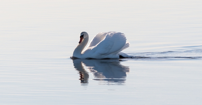 Gratitude and Grace