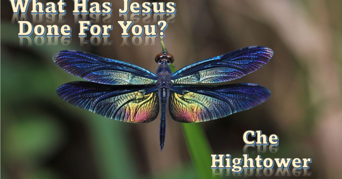 What has Jesus done for You?