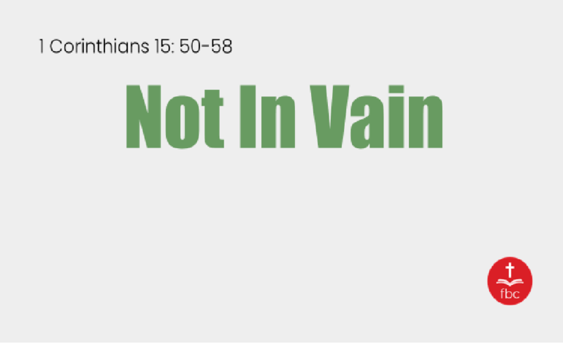 Not in Vain