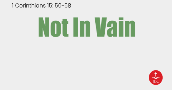 Not in Vain