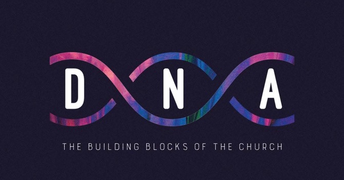 The Governance of the Church