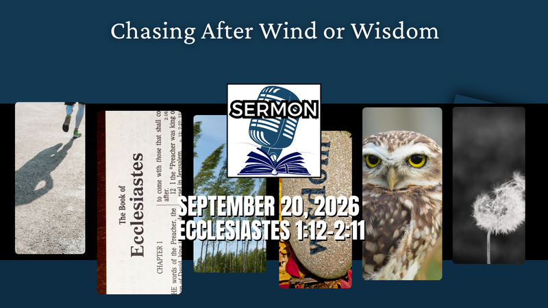 Chasing After Wind or Wisdom