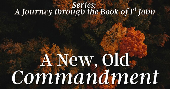 A New, Old Commandment