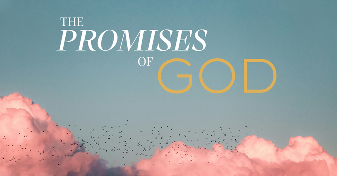 The Faithfulness of God and the Certainty of His Promises