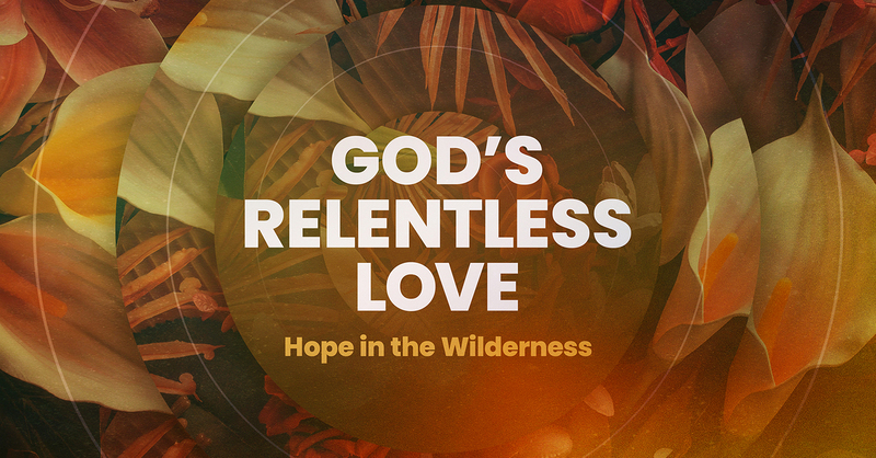 Hope in the Wilderness