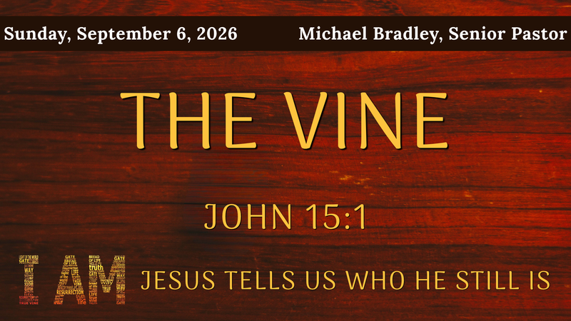 I Am the True Vine