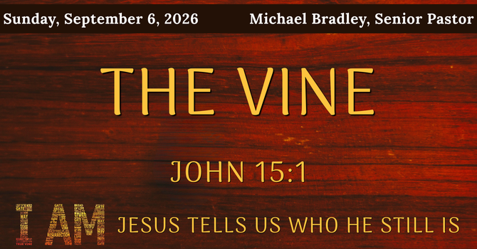 I Am the True Vine