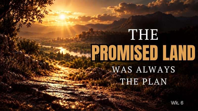 The Promise Land Was Always The Plan