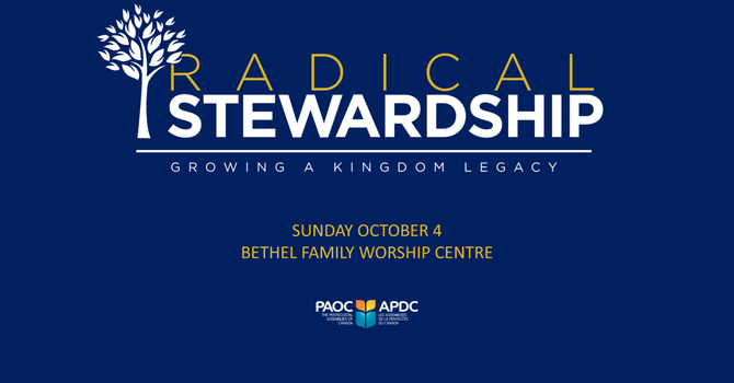 Radical Stewardship