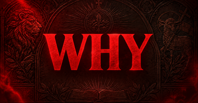 Why #2