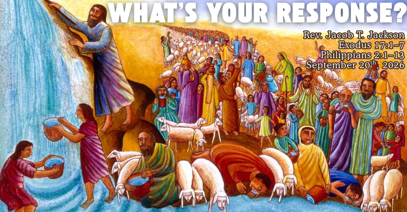 What's Your Response?