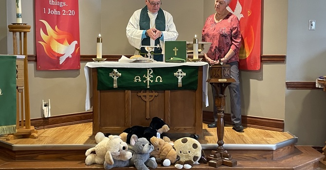 Blessing of the Stuffies