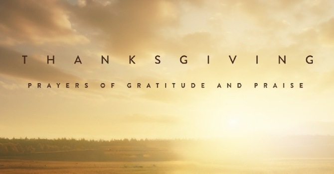 November 2025 Newsletter image