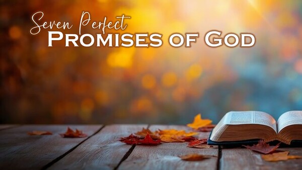 Seven Perfect Promises of God