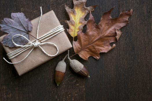 Gifted to Give