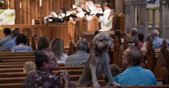 Blessing of the Animals