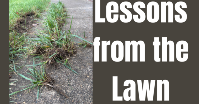 Lessons From the Lawn