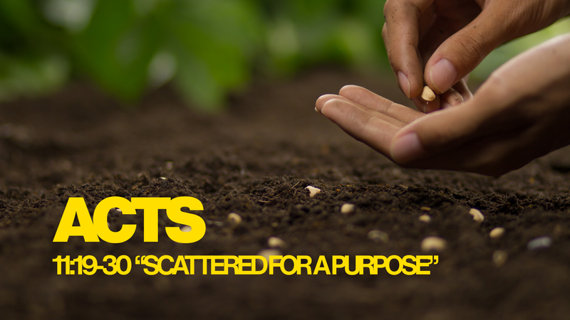 Scattered for a Purpose