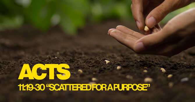 Scattered for a Purpose