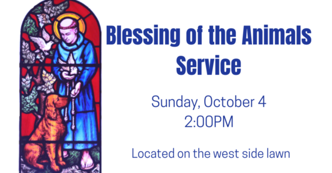 Blessing of the Animals Service
