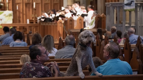 Blessing of the Animals