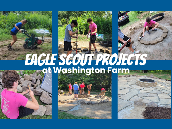 Thank Our Scouts!