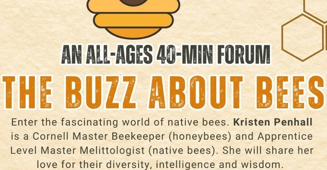 The buzz about bees