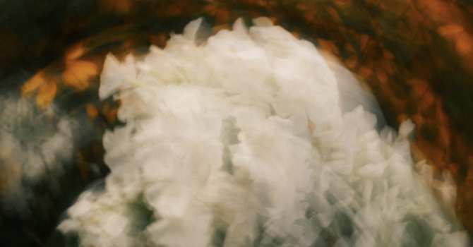 Prepare Your Heart for Worship on September 27 image