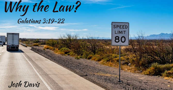 Why the Law?