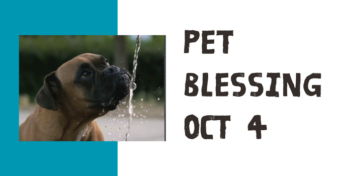 Pet Blessing